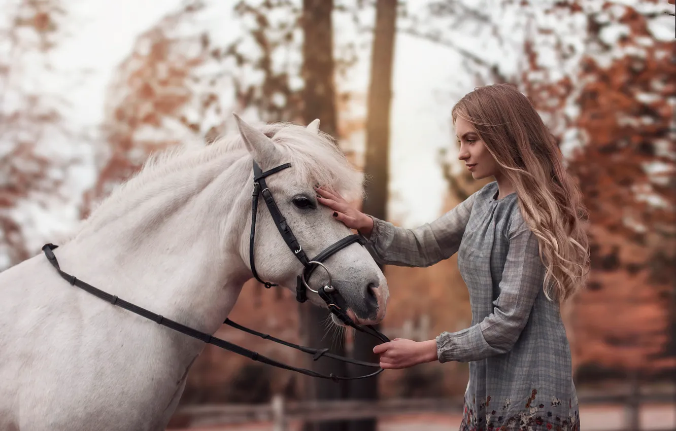 Photo wallpaper white, girl, trees, pond, Park, horse, dress, hairstyle