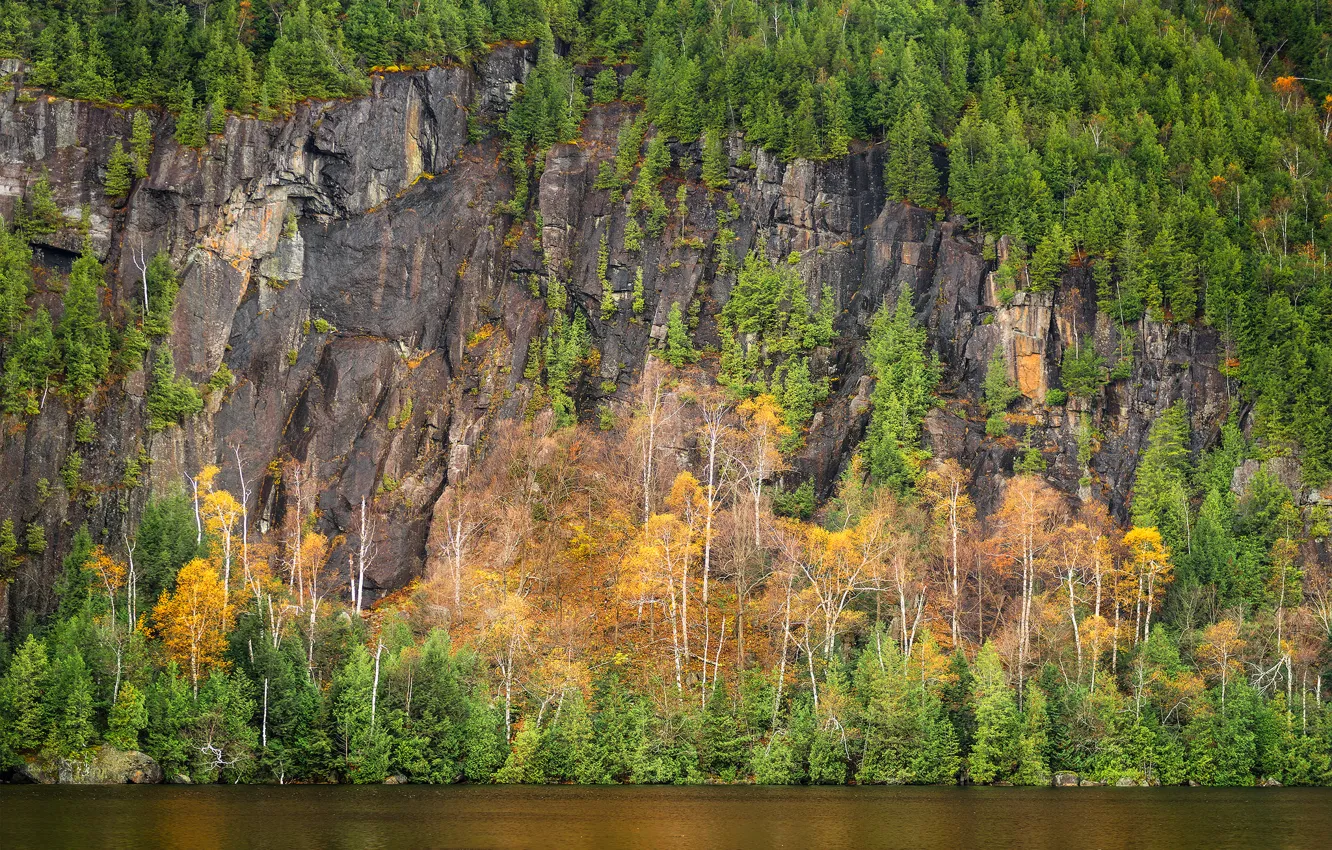 Photo wallpaper trees, rock, lake, mountain