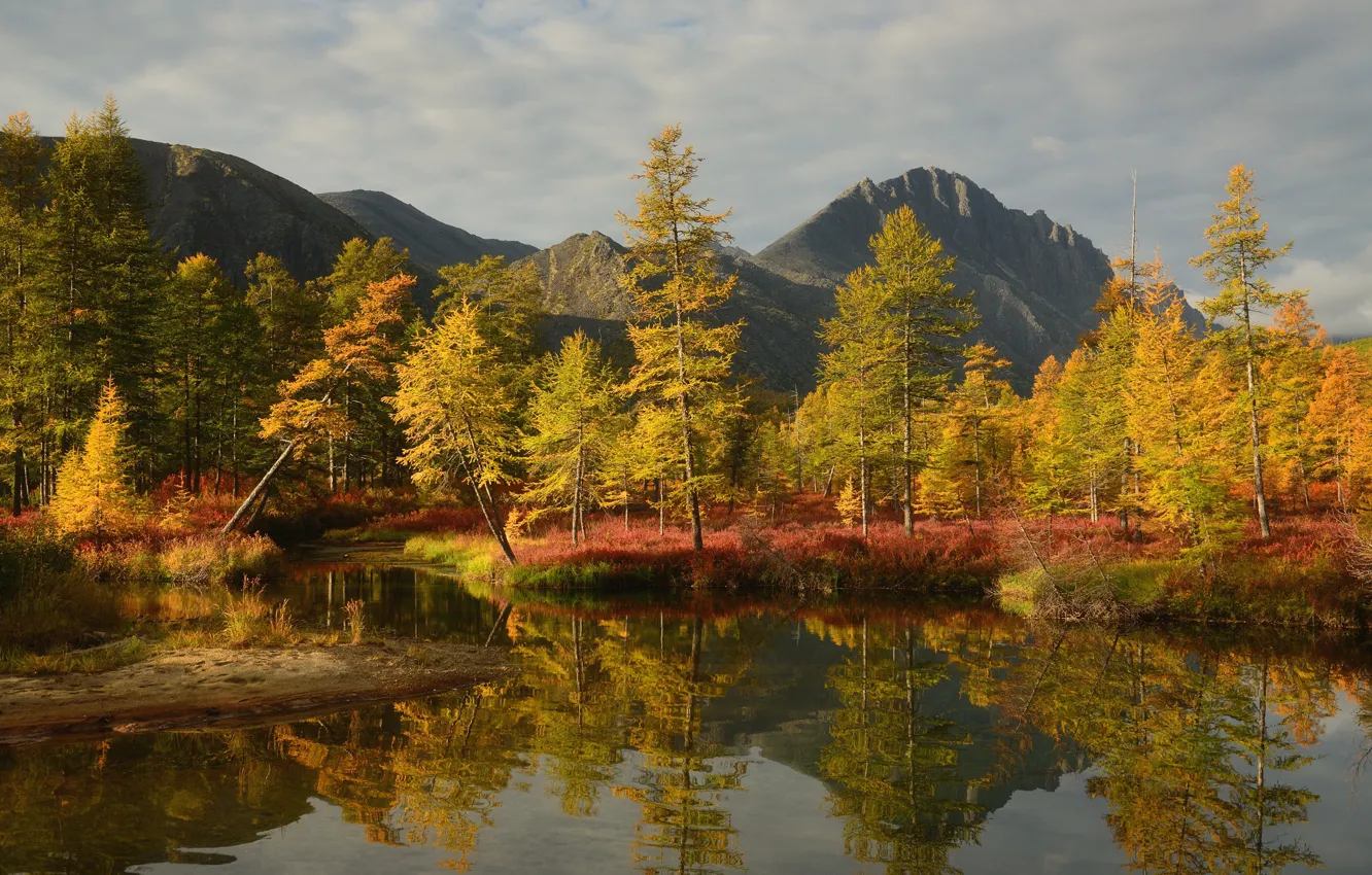 Photo wallpaper autumn, forest, trees, mountains, reflection, shore, tops, ate