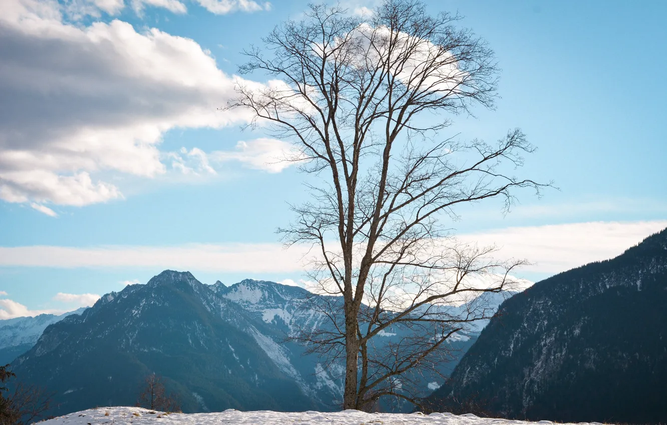 Photo wallpaper winter, the sky, clouds, snow, trees, mountains, nature, rocks