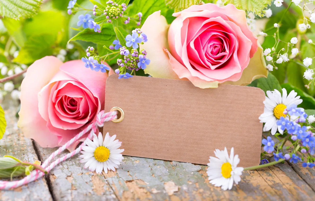 Photo wallpaper roses, petals, pink, flowers, romantic, roses