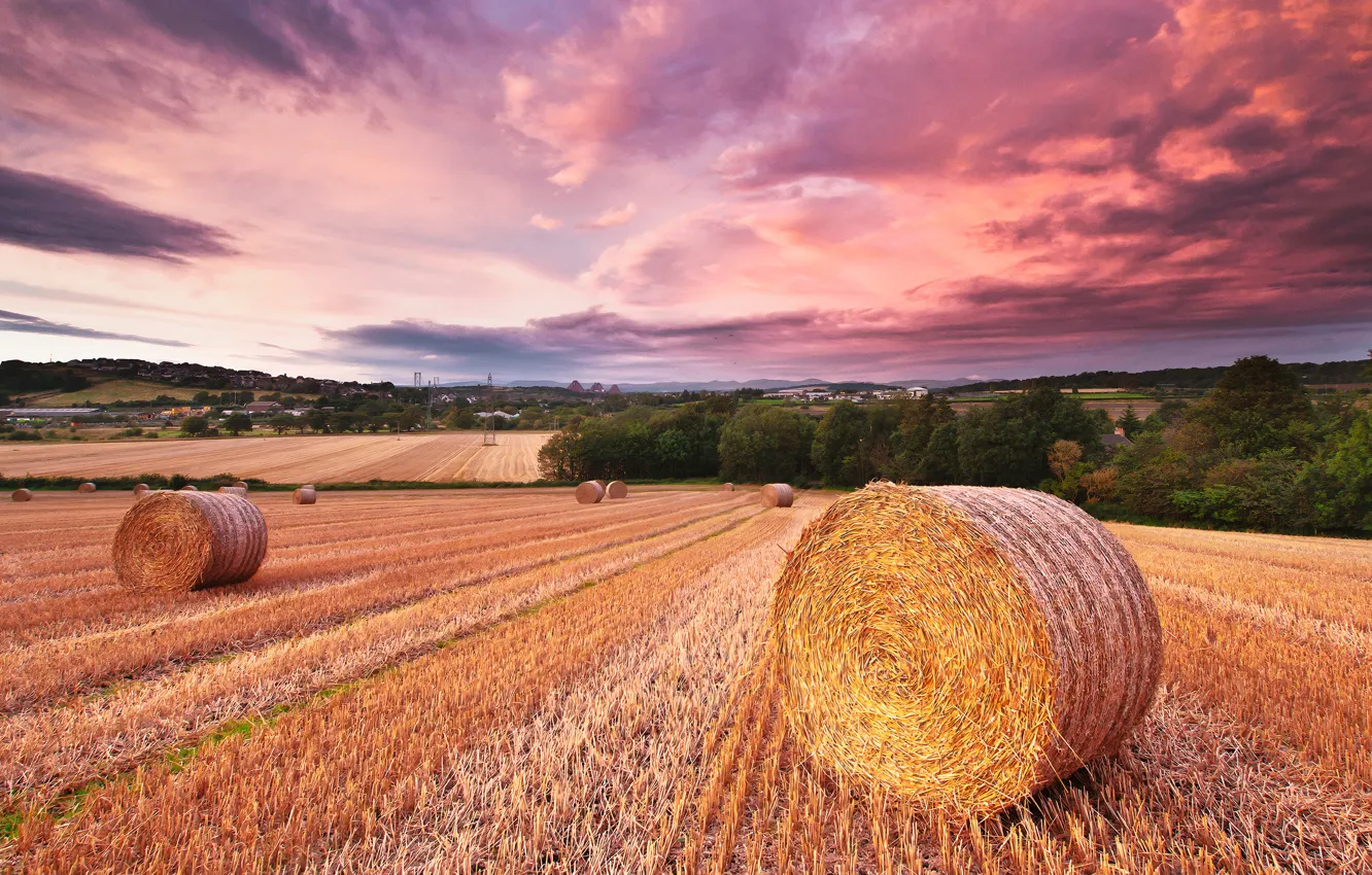 Photo wallpaper field, forest, the sky, clouds, sunset, dal, village, hay
