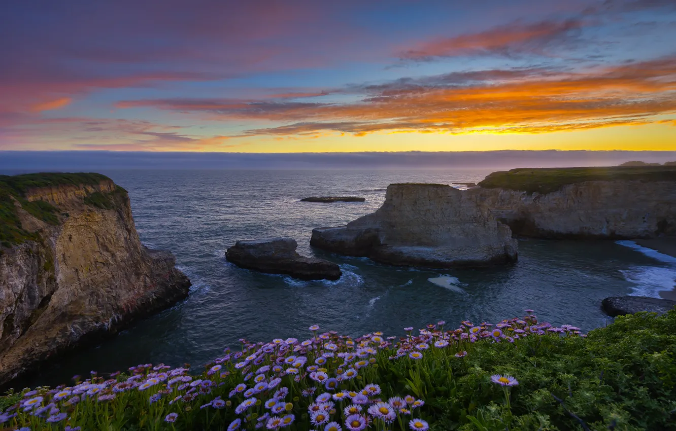 Photo wallpaper landscape, sunset, flowers, nature, the ocean, rocks, CA, USA