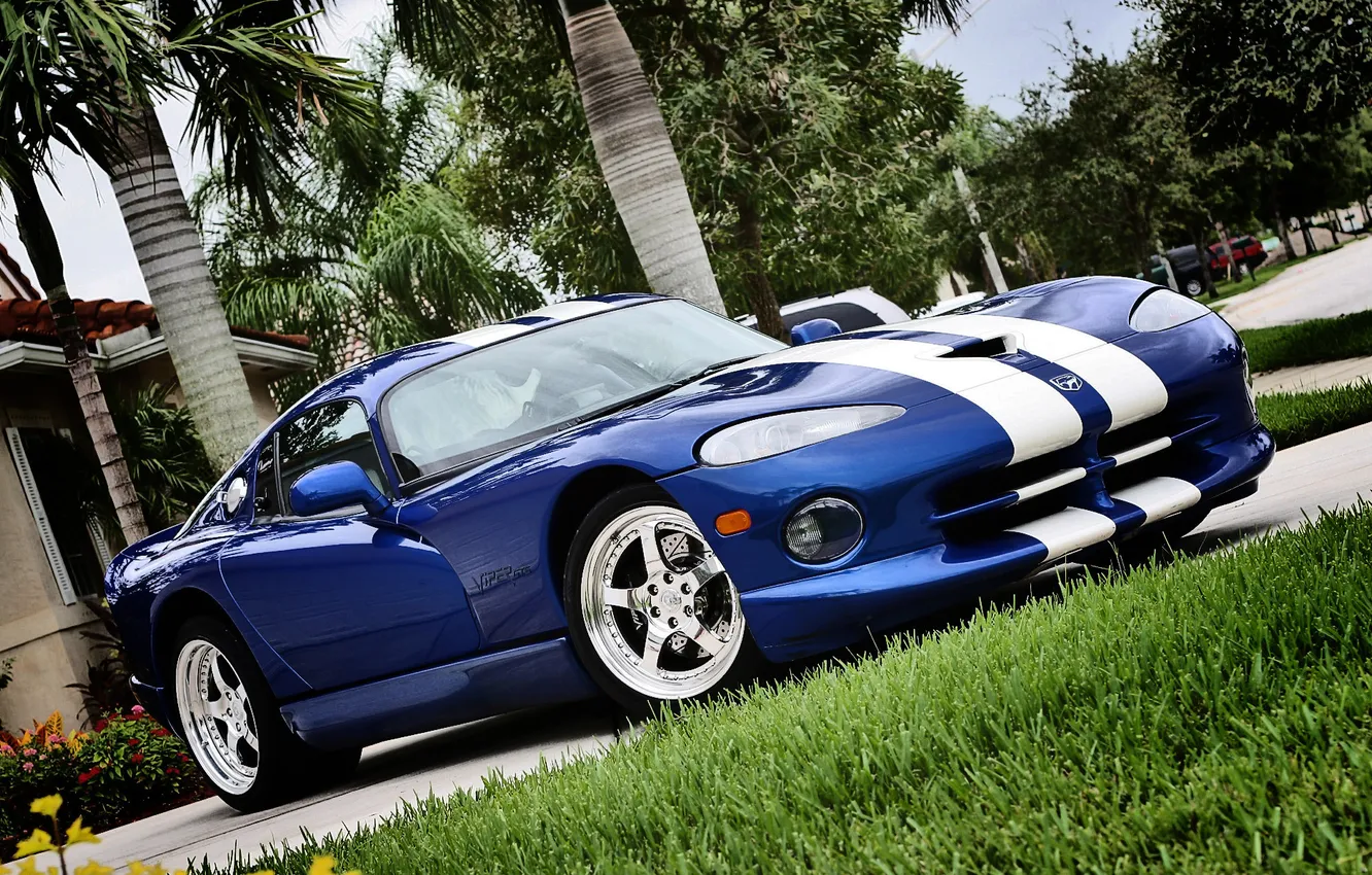 Photo wallpaper strip, palm trees, Dodge, drives, Viper