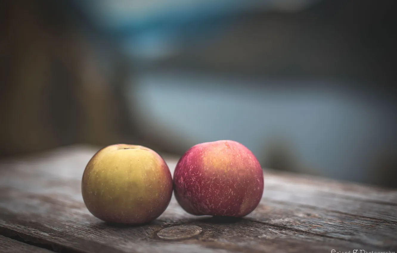Photo wallpaper table, background, apples, Board, two