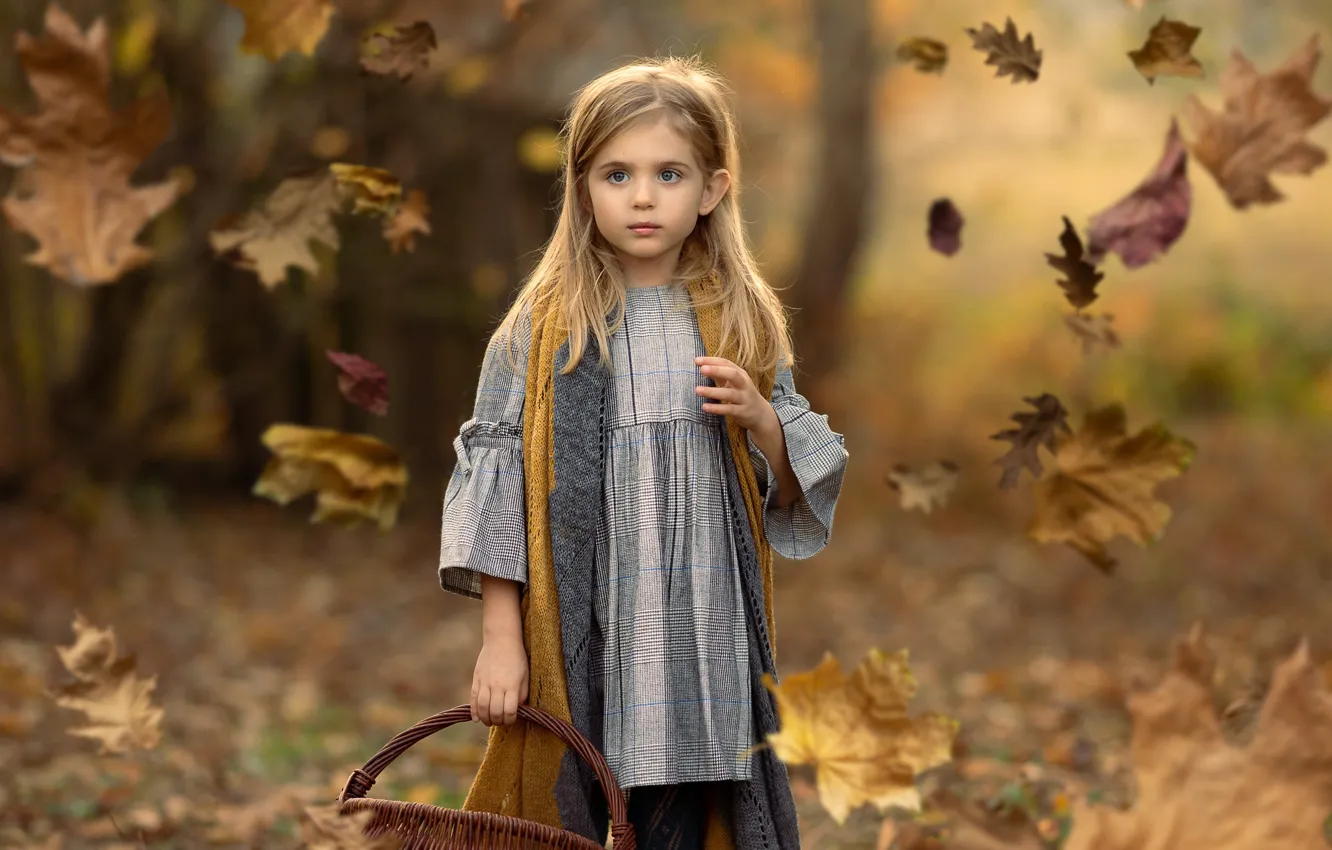 Photo wallpaper autumn, leaves, girl, basket