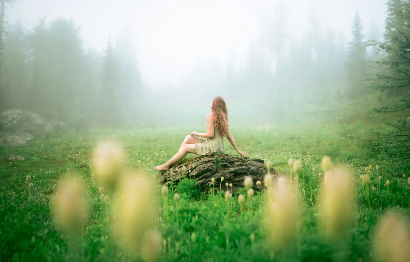 Photo wallpaper greens, forest, summer, girl, flowers, nature, pose, fog