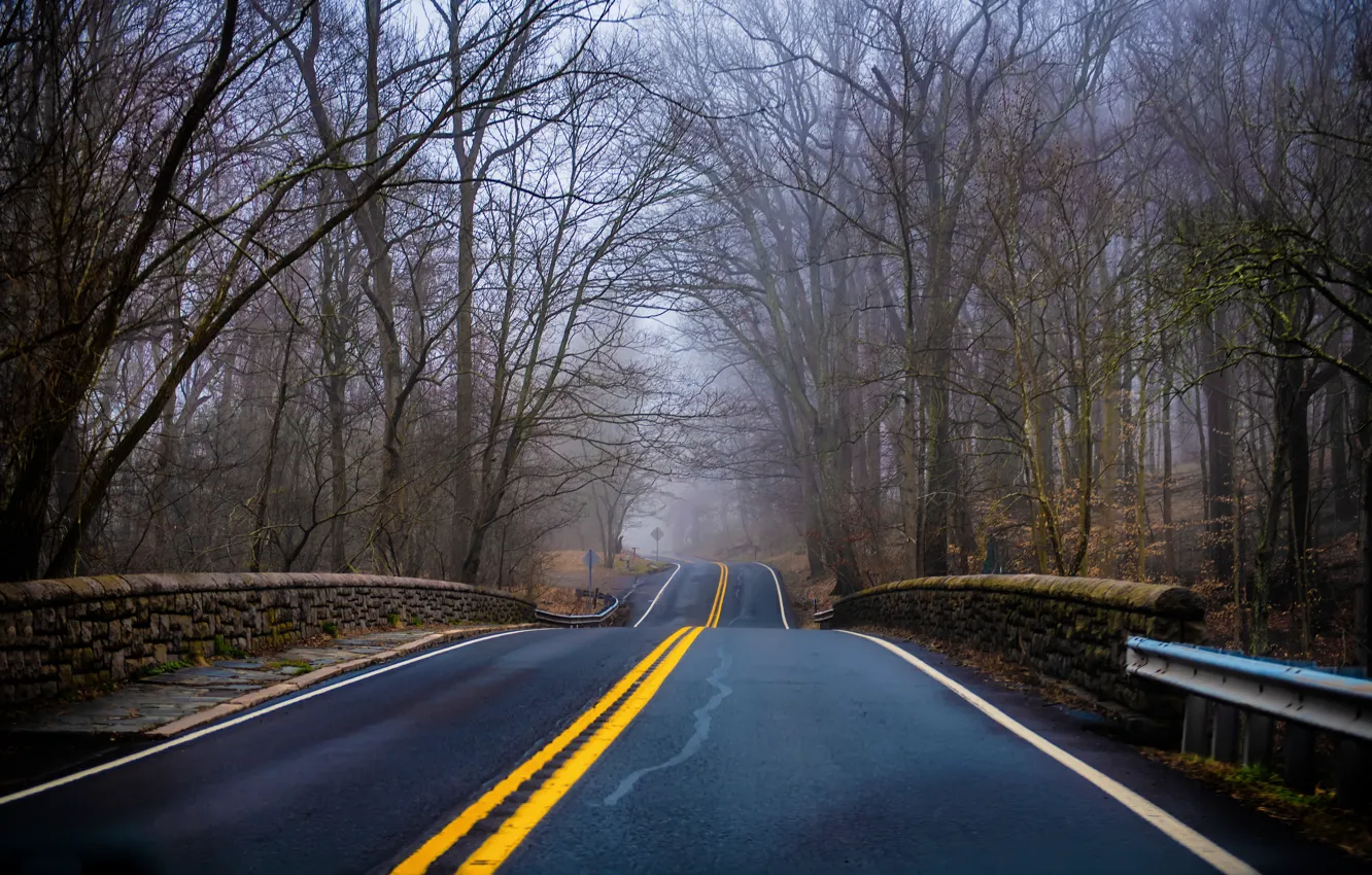 Photo wallpaper road, nature, spring