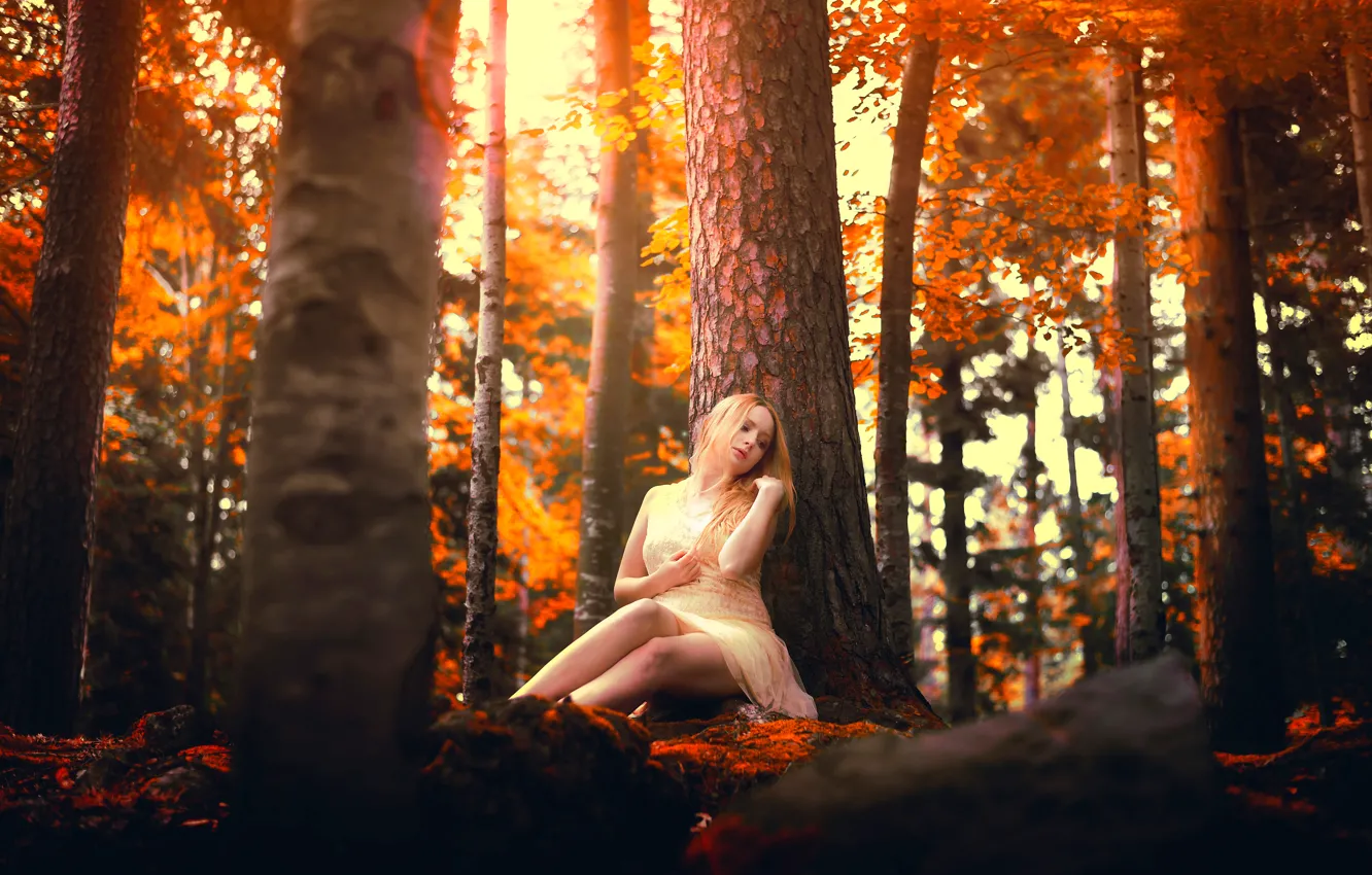 Photo wallpaper autumn, forest, girl, stones, Samantha Meglioli