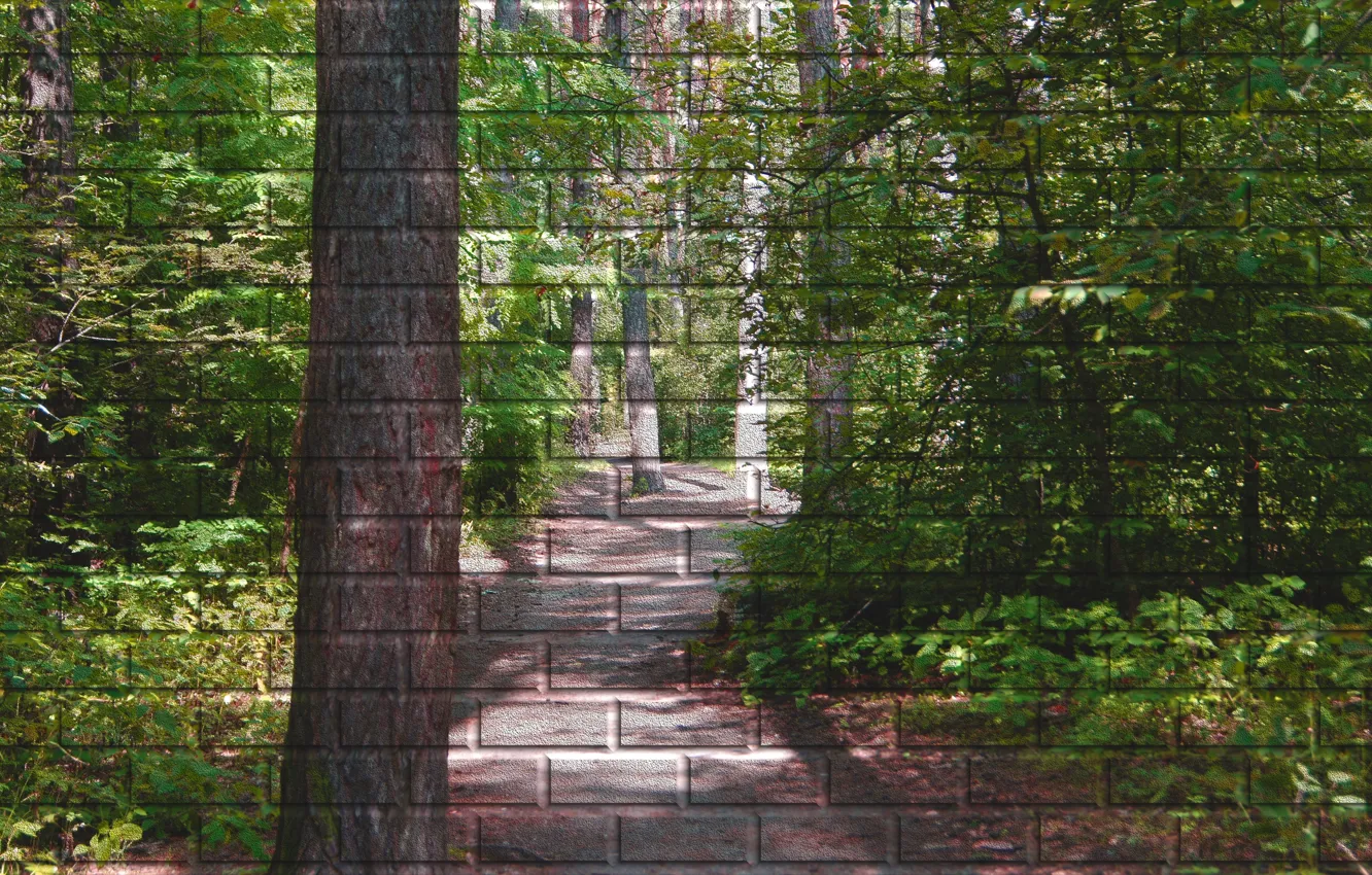 Photo wallpaper forest, summer, green, wall, figure, trail, brick, picture