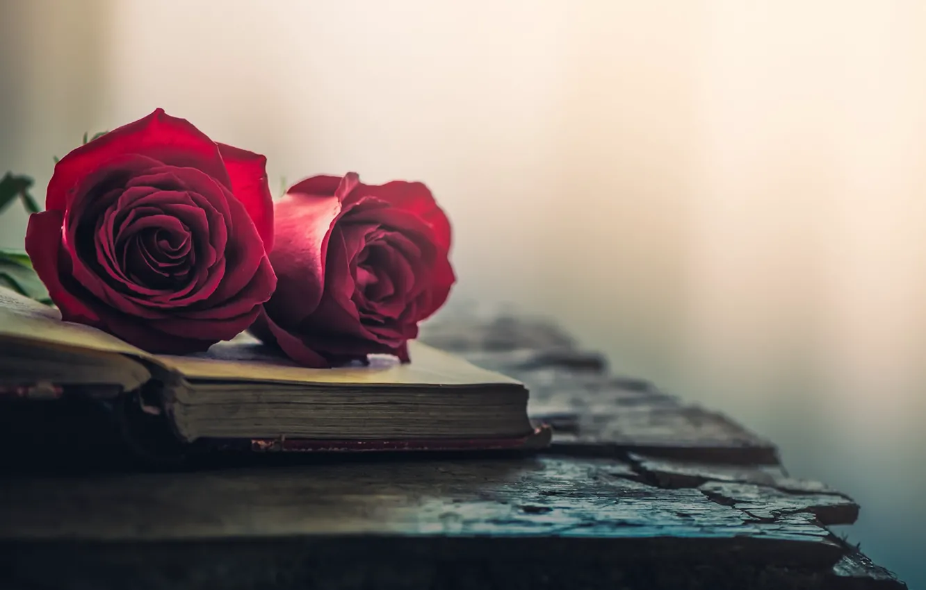Photo wallpaper flowers, roses, book