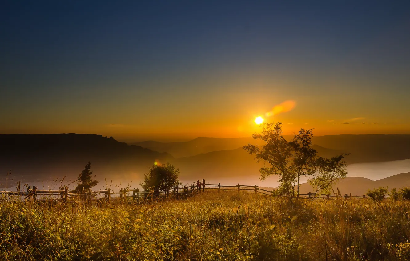 Photo wallpaper nature, fog, morning