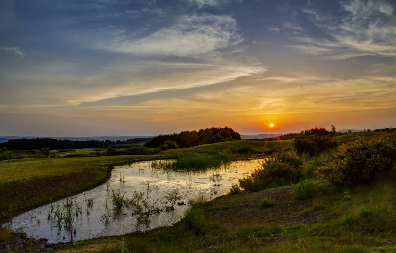 Photo wallpaper the sky, grass, water, the sun, rays, trees, sunset, nature