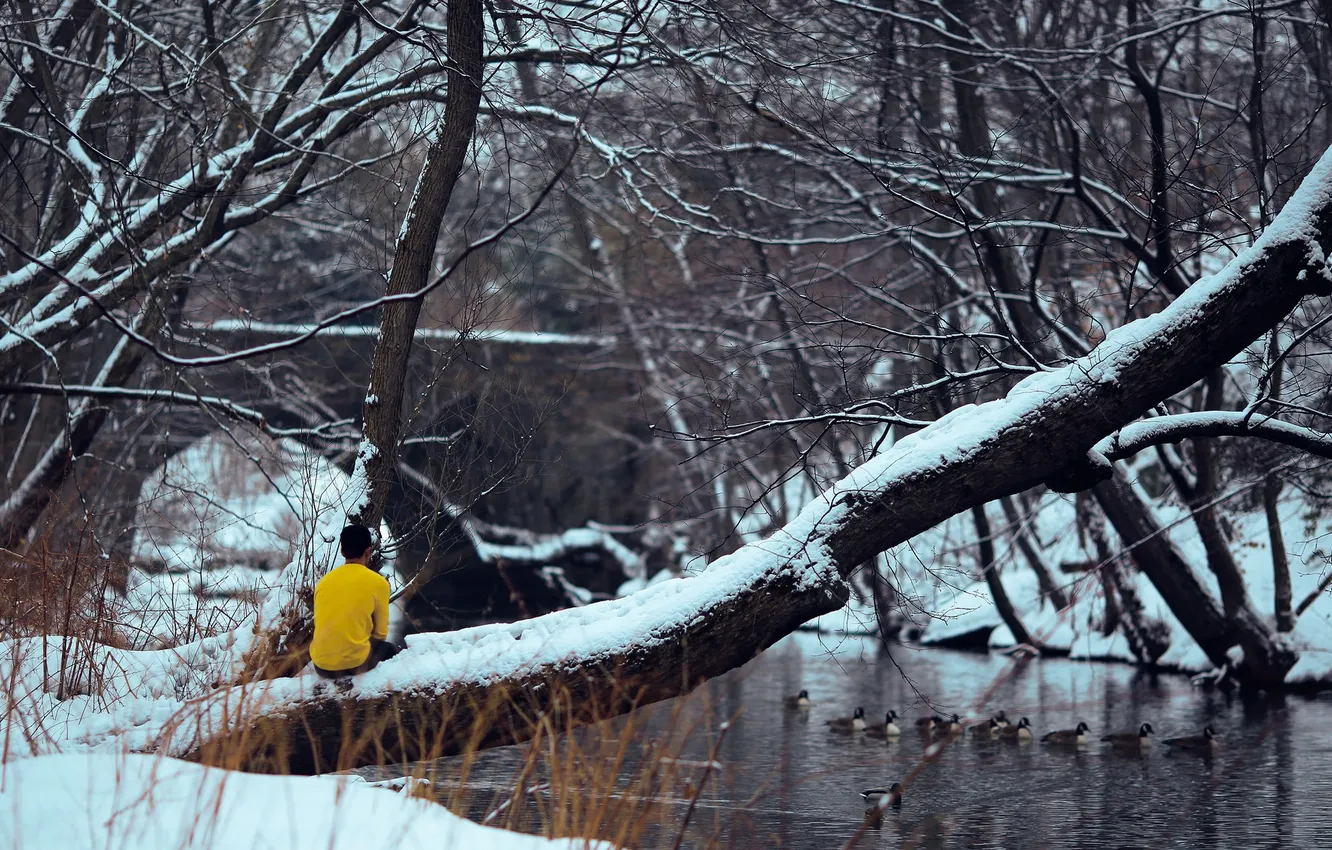 Photo wallpaper river, trees, bridge, winter, snow, man, back, branches
