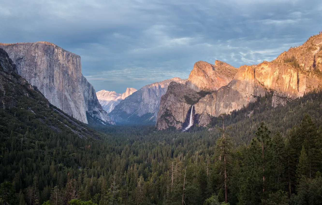 Photo wallpaper forest, mountains, national Park, Yosemite National Park, Burning Edges