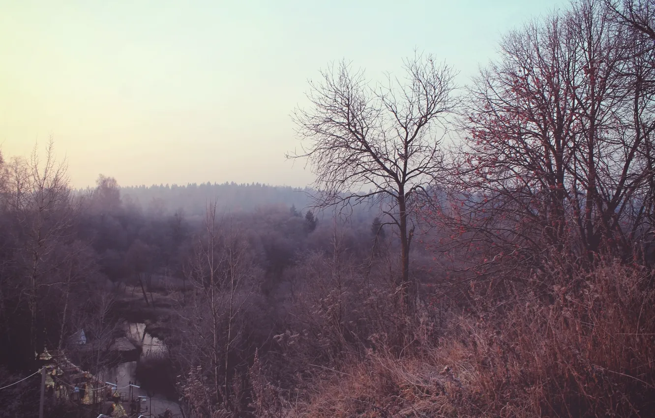 Photo wallpaper trees, fog, river