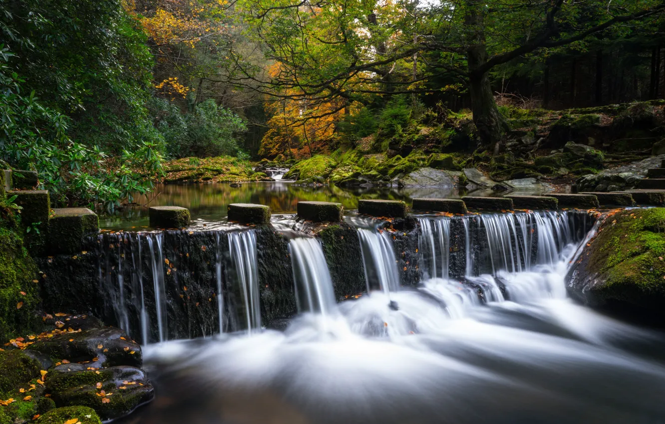Photo wallpaper autumn, forest, trees, nature, waterfall, stream