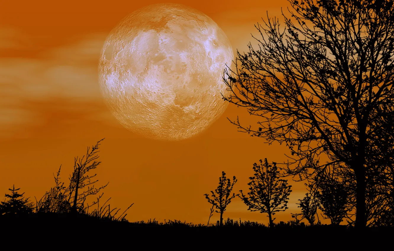 Photo wallpaper the sky, night, the moon