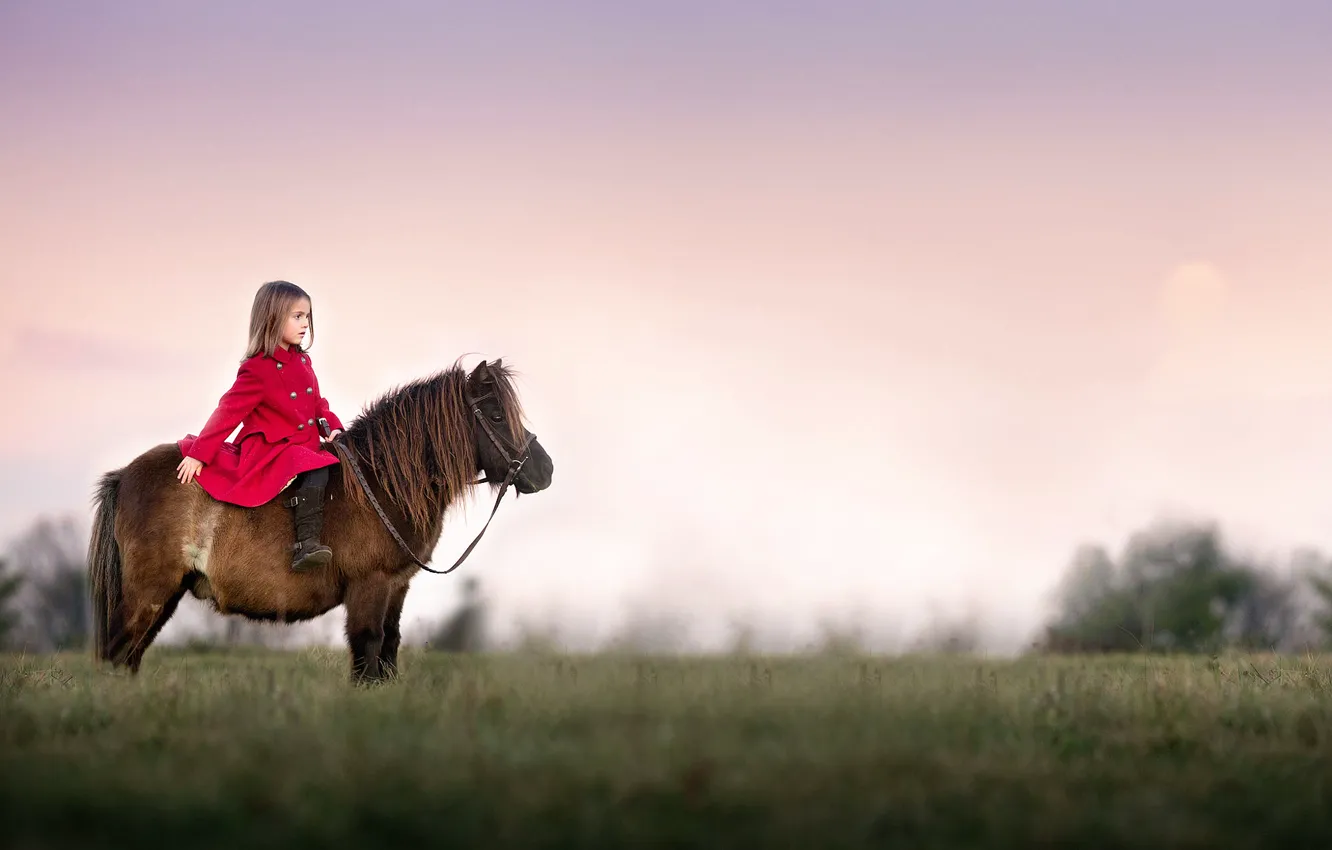 Photo wallpaper girl, pony, Watchful