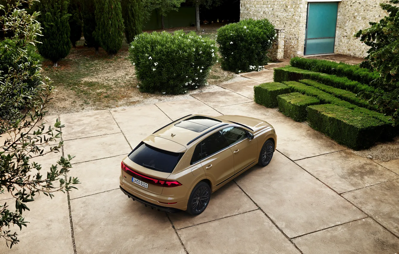 Photo wallpaper Audi, trees, Q8, Audi Q8 2024