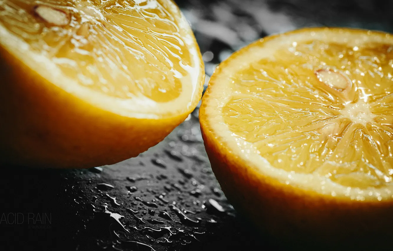 Photo wallpaper macro, orange, photographer, fruit, photography, photographer, macro, Björn Wunderlich