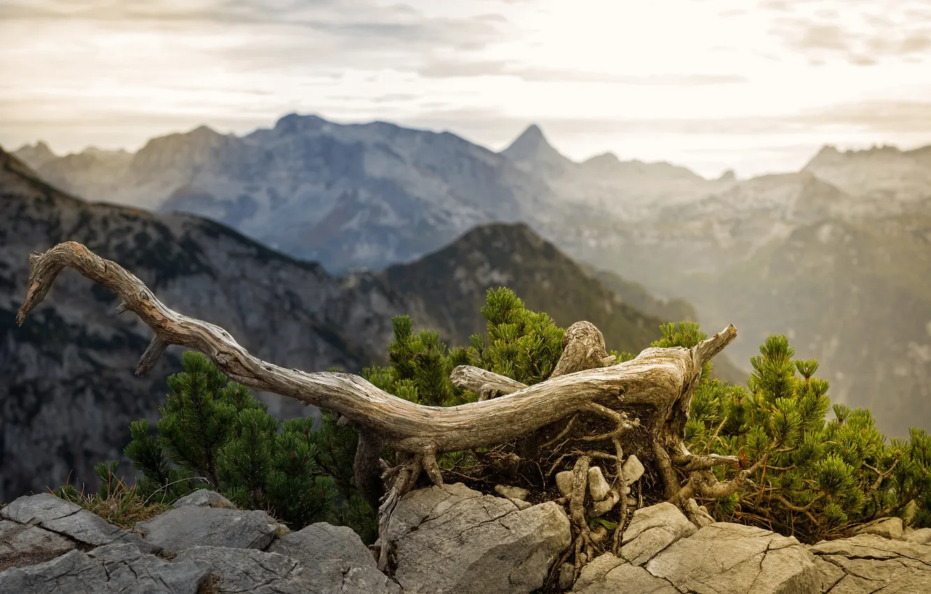 Photo wallpaper the sky, mountains, nature