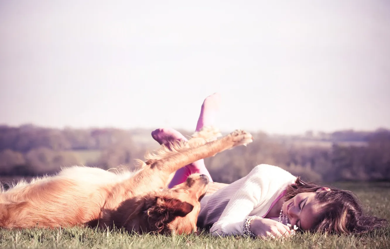 Photo wallpaper summer, grass, girl, joy, the game, dog