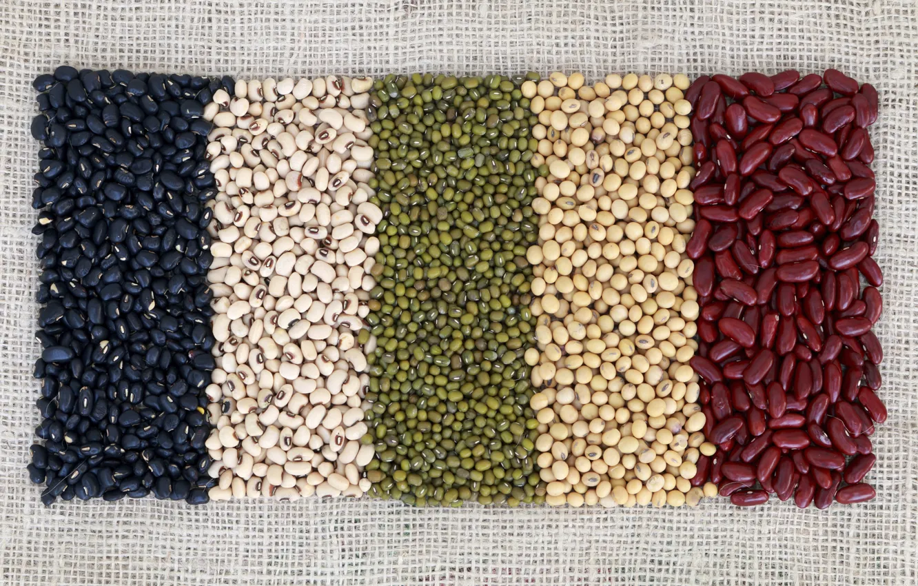 Photo wallpaper colors, beans, variety