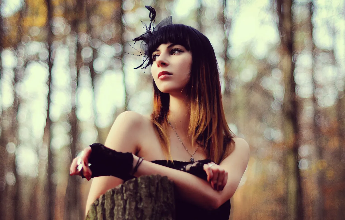 Photo wallpaper forest, look, girl, light, trees, style, stump, portrait