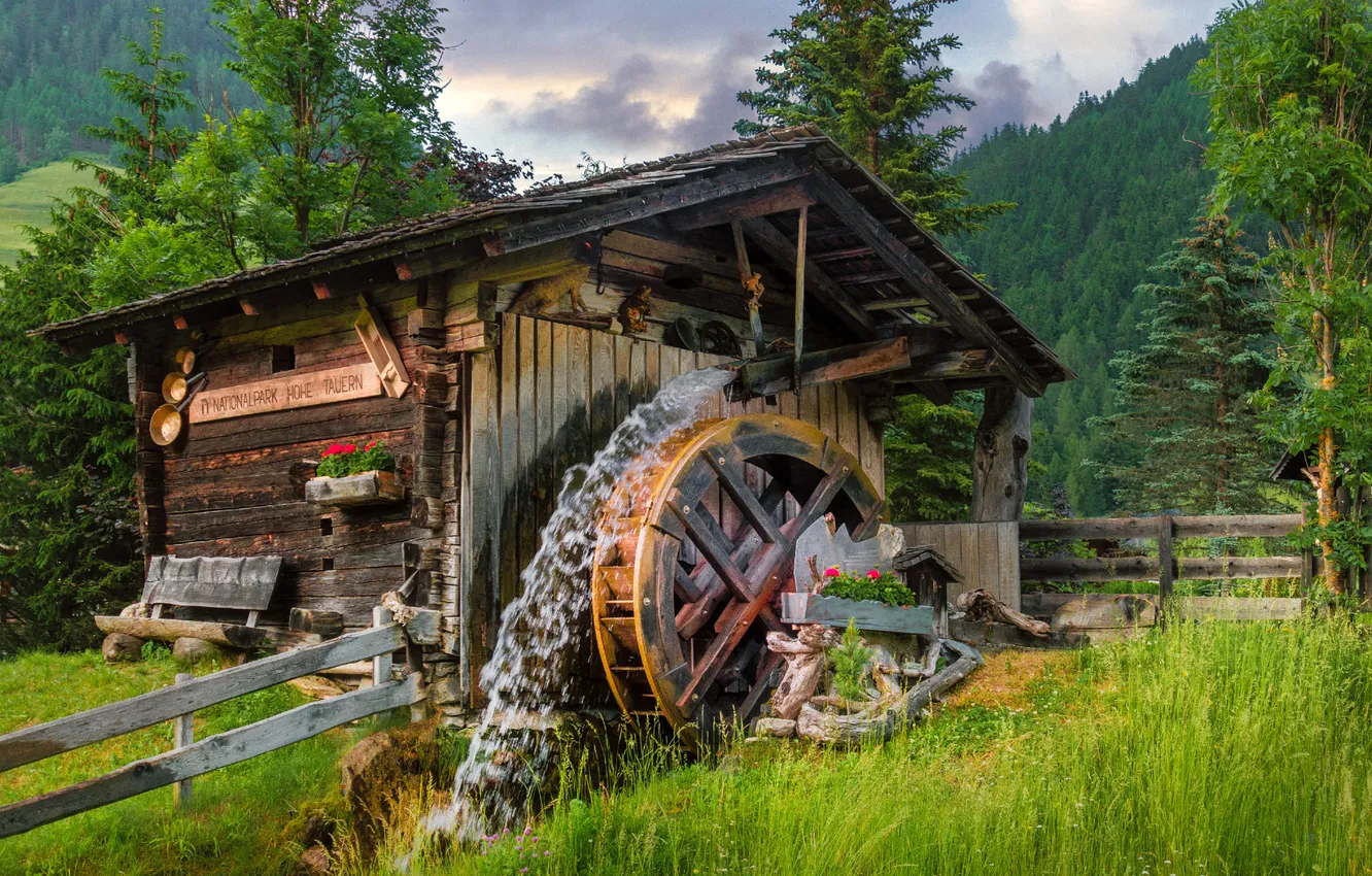 Photo wallpaper forest, grass, glade, the fence, home, mill, water mill