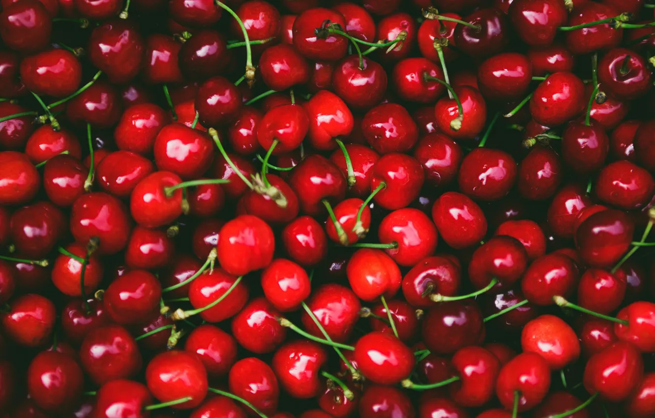 Photo wallpaper cherry, berries, the dark background, red, a lot, cherry