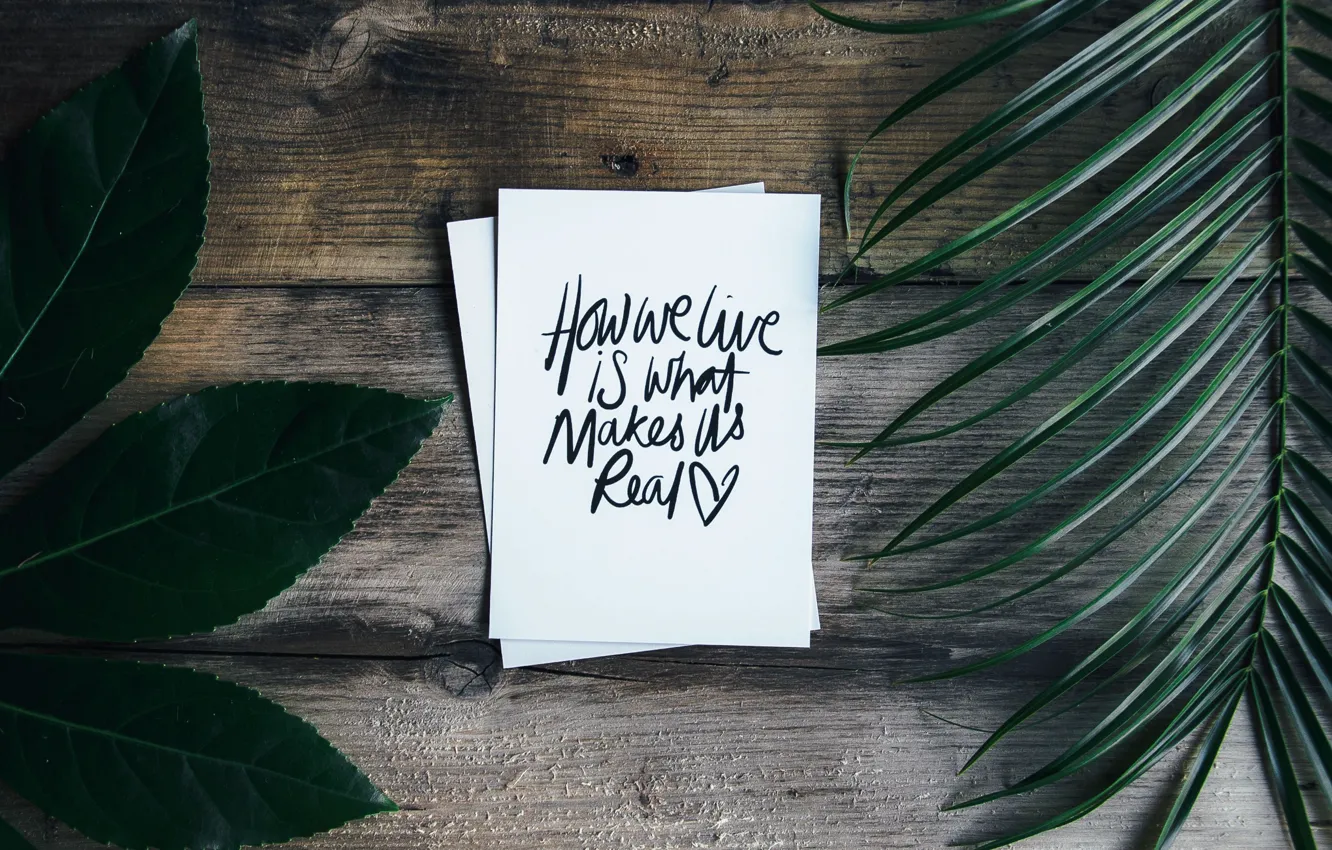 Photo wallpaper leaves, the inscription, Board, message