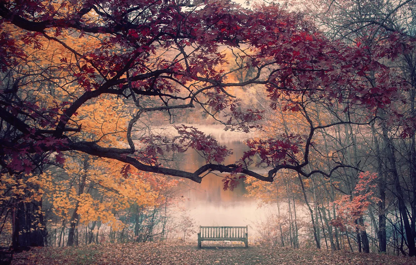 Photo wallpaper autumn, river, bench