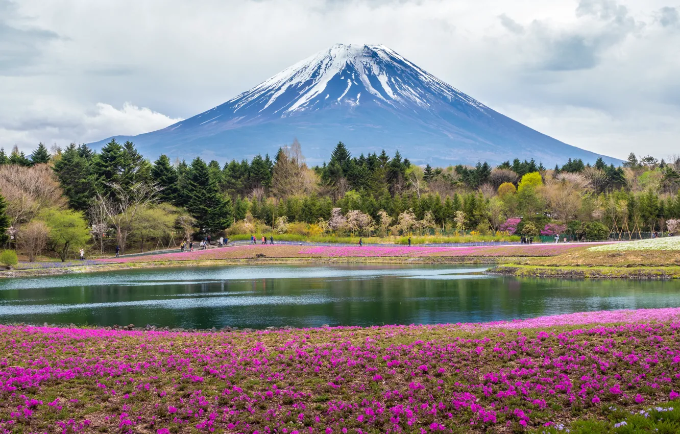 Photo wallpaper flowers, mountains, Asia, pond