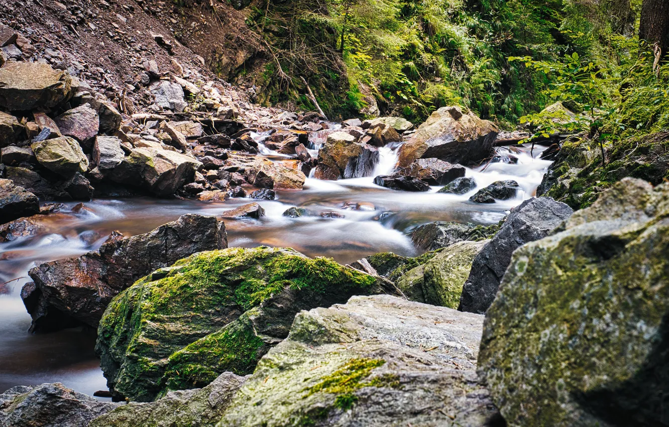 Photo wallpaper stream, stones, moss