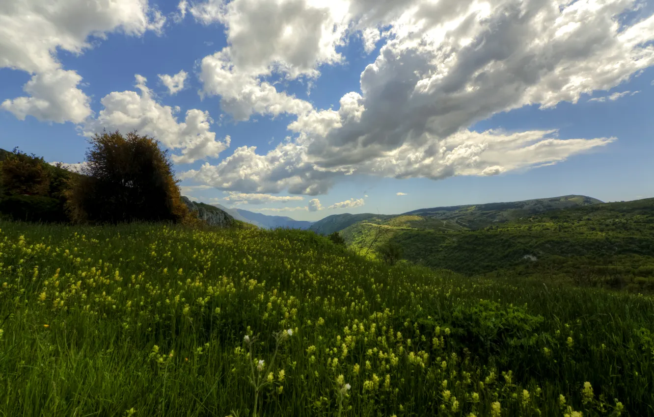 Photo wallpaper greens, field, summer, the sky, grass, clouds, mountains, meadow
