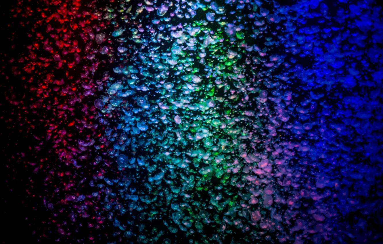 Photo wallpaper water, color, a lot, Medusa