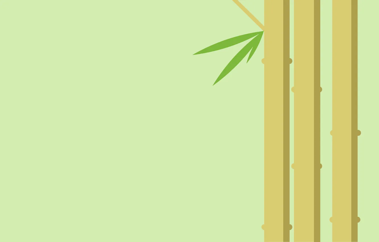 Photo wallpaper leaves, plant, bamboo, stem