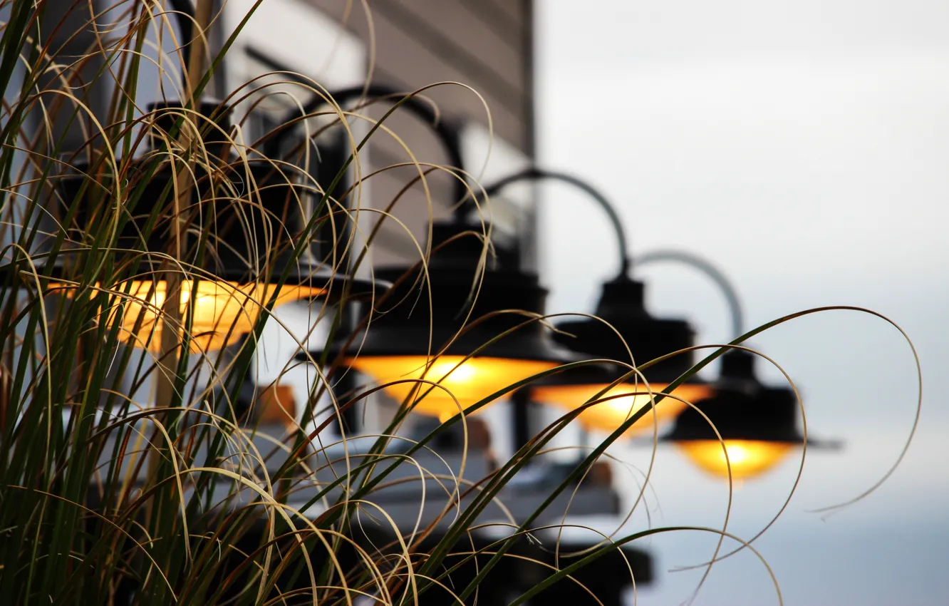 Photo wallpaper grass, background, lamp