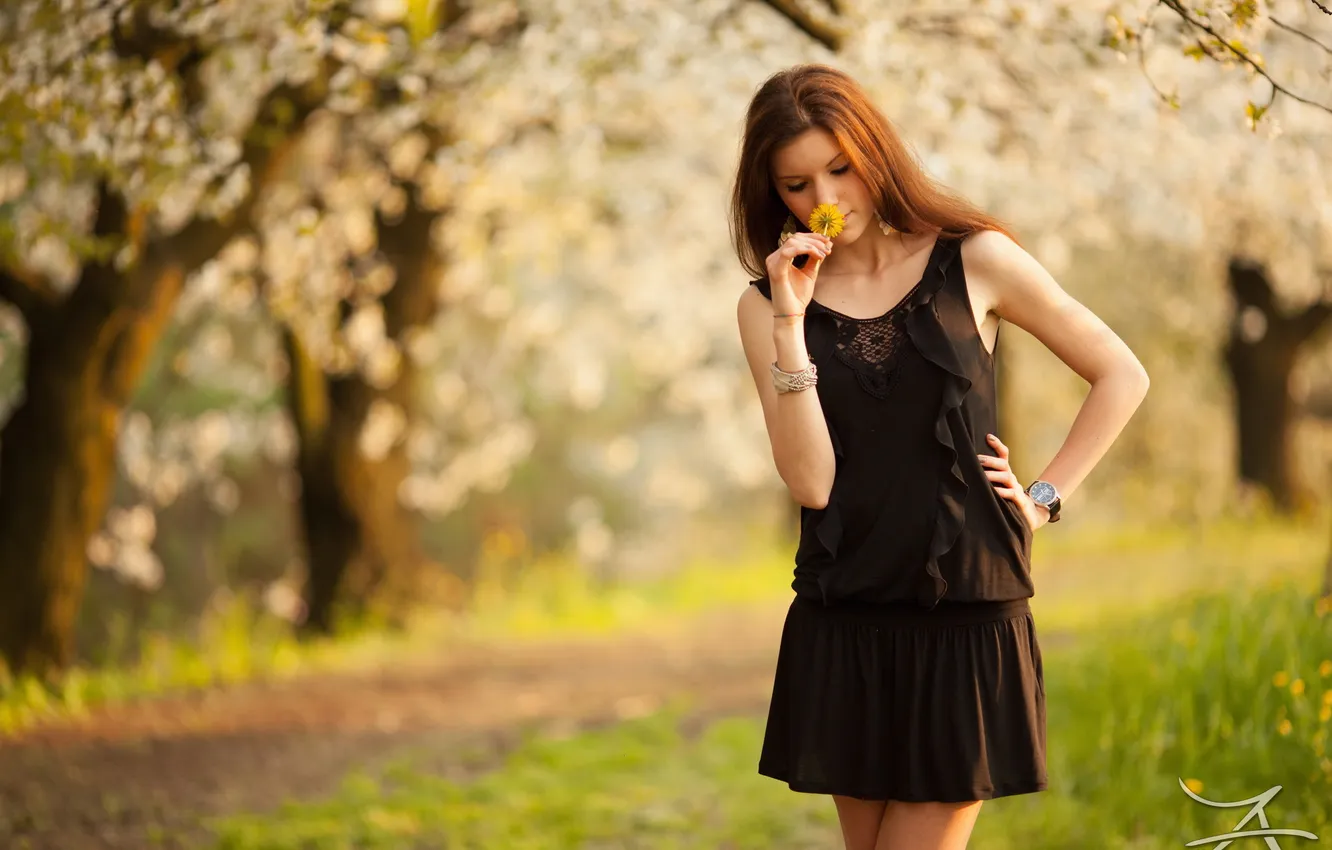 Photo wallpaper summer, girl, flowers