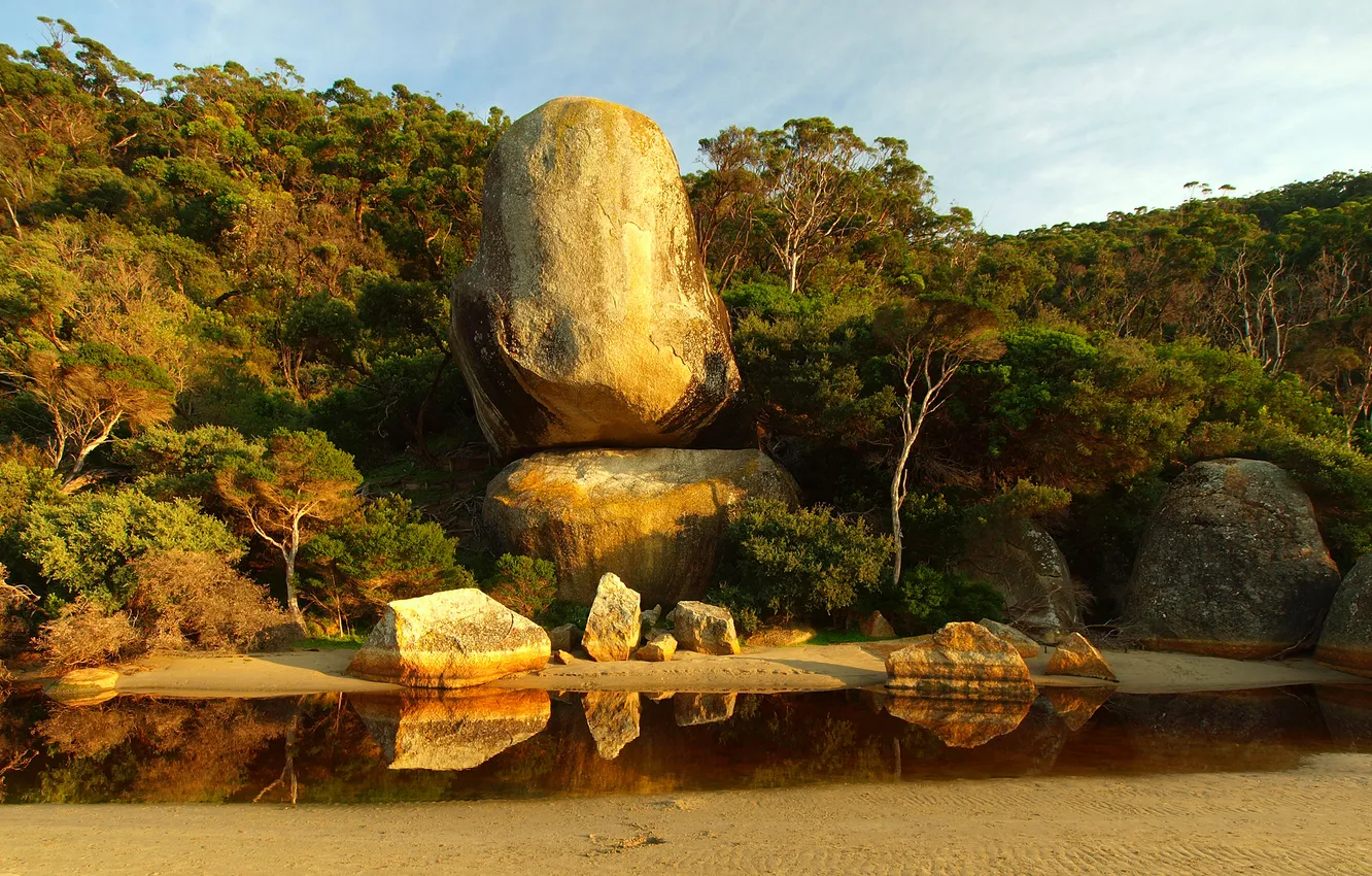 Photo wallpaper sea, forest, stones