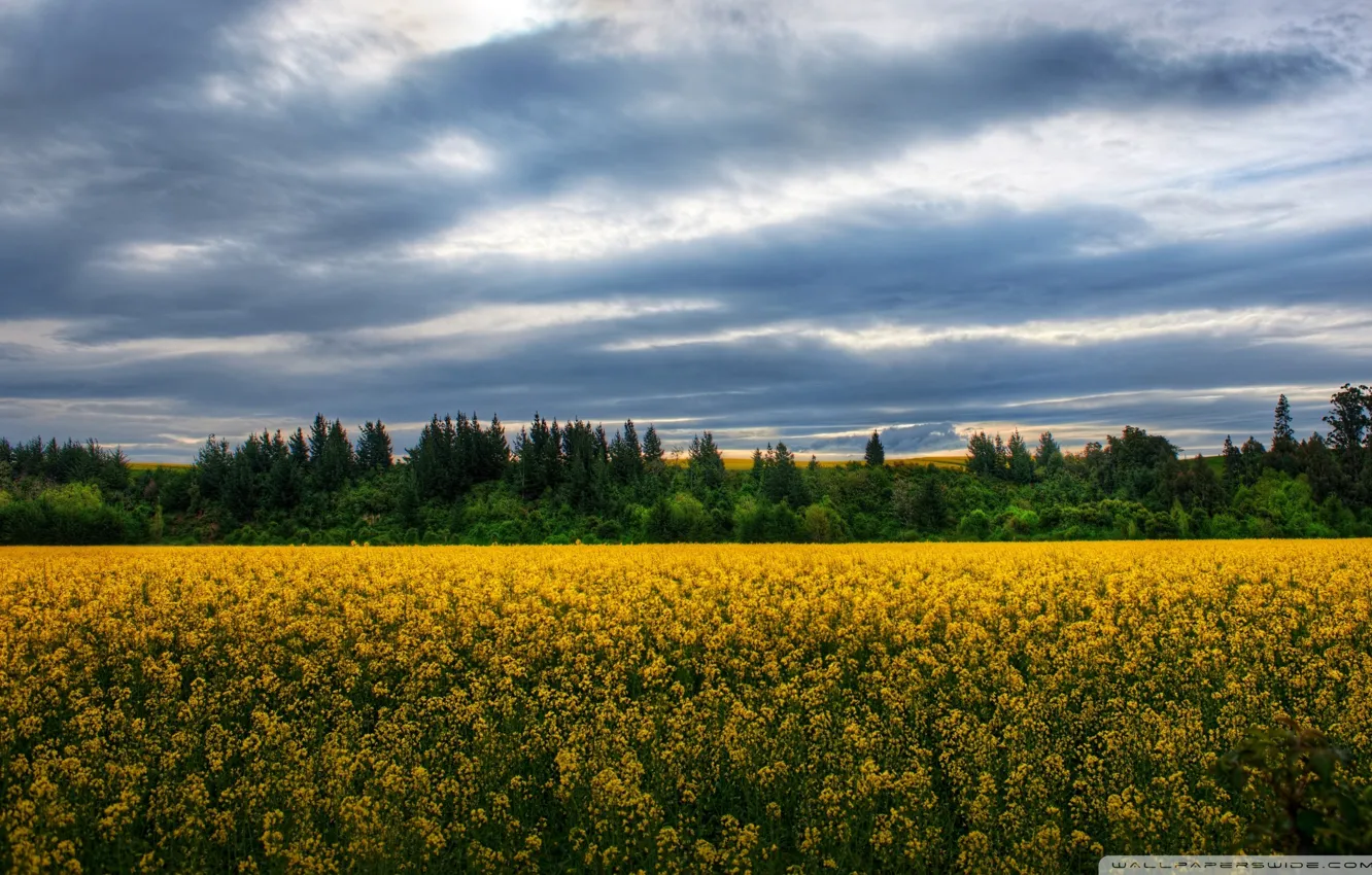 Photo wallpaper nature, farm, Town