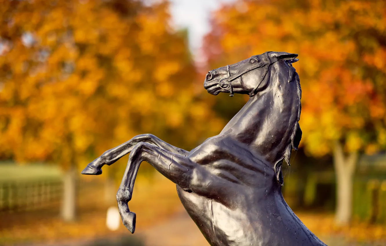 Photo wallpaper horse, UK, statue, United Kingdom, statue, Thoroughbred horse breeding farm, Newmarket, Thoroughbred Horse Breeding Farm