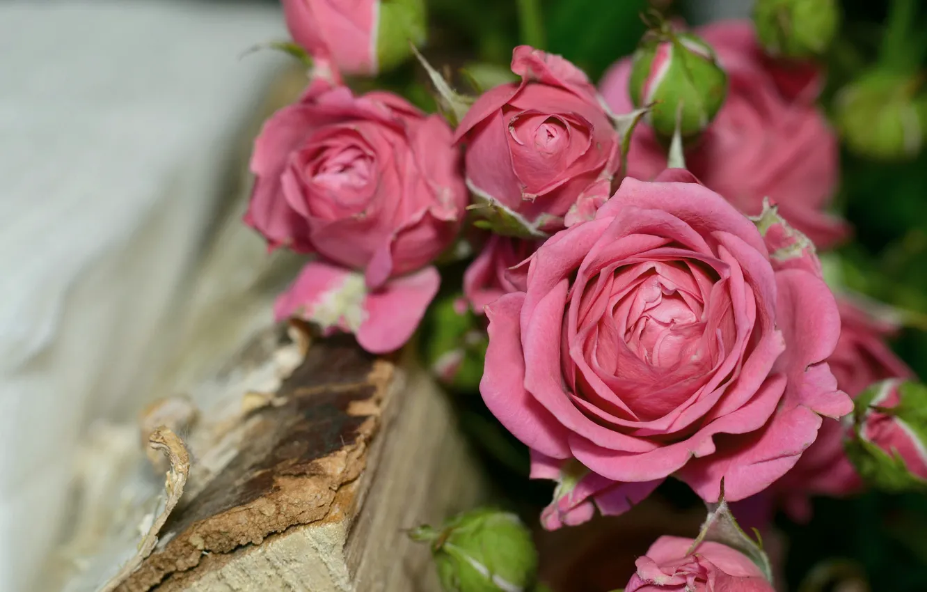 Photo wallpaper flowers, roses, bouquet, pink