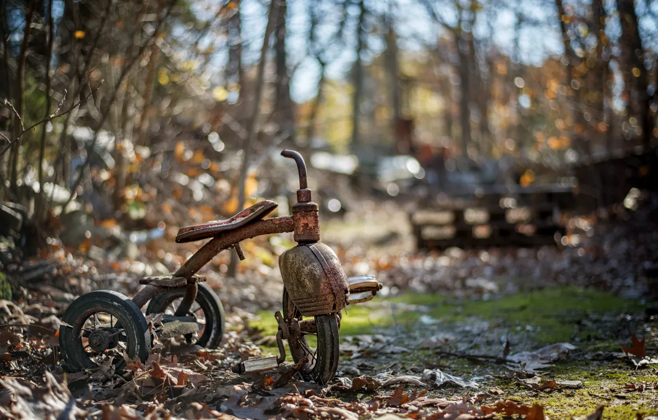 Photo wallpaper bike, background, scrap