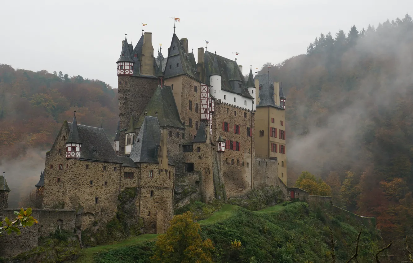 Photo wallpaper the sky, trees, fog, Germany, Germany, ELTZ Castle, medieval architecture, Elz Castle