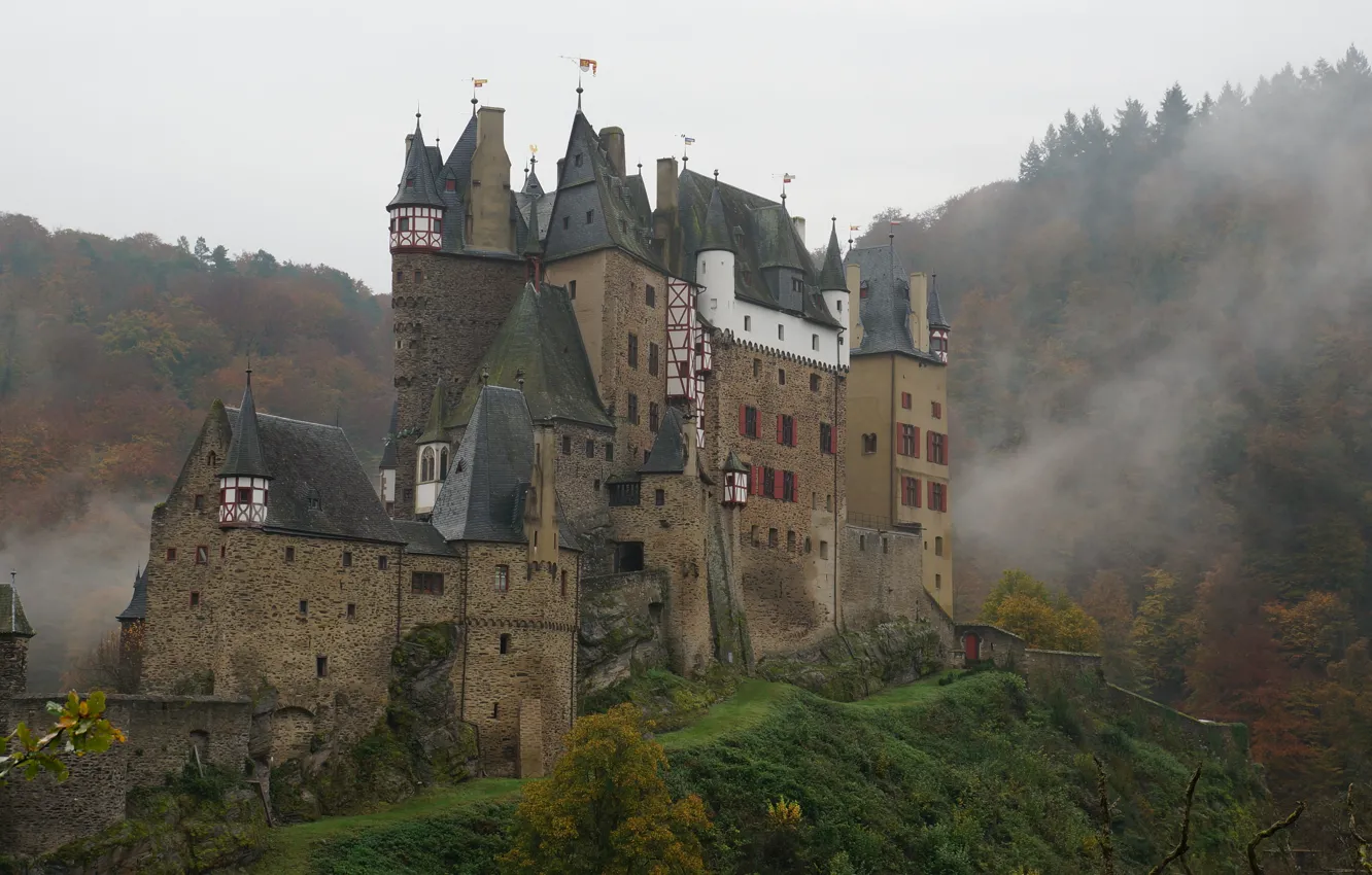 Photo wallpaper the sky, trees, fog, Germany, Germany, ELTZ castle, medieval architecture, Elz Castle