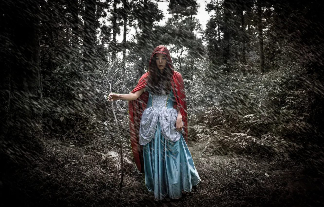 Photo wallpaper forest, girl, rain