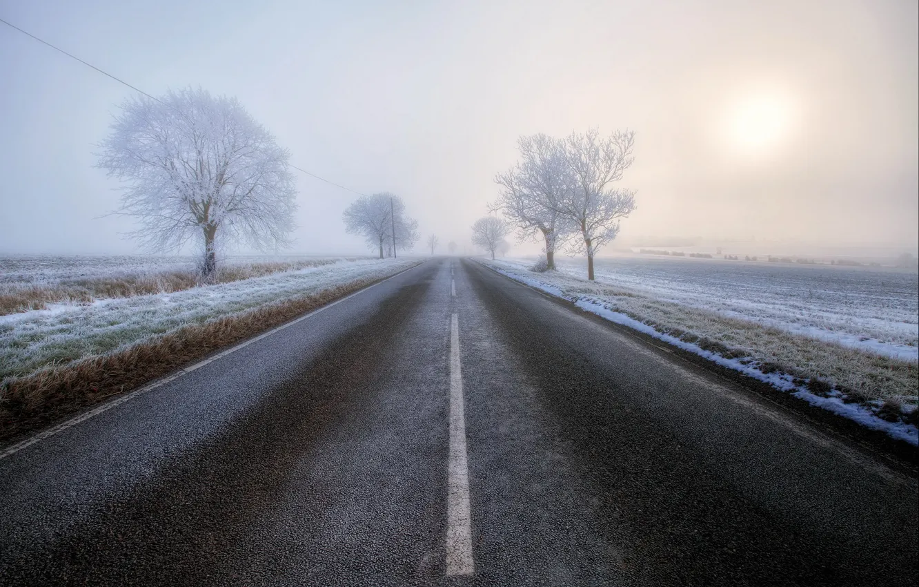 Photo wallpaper road, trees, landscape, fog