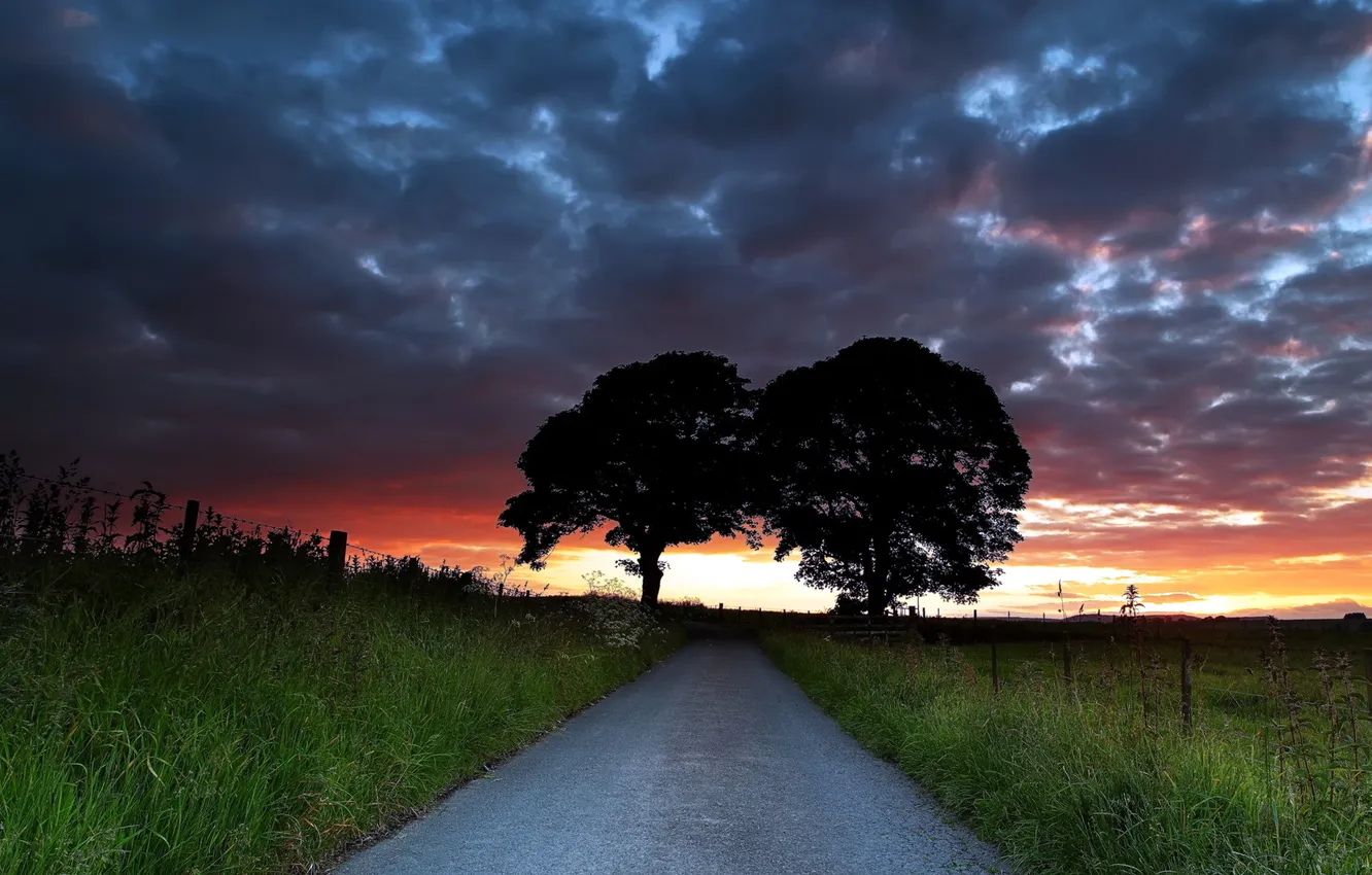 Photo wallpaper road, trees, landscape, sunset
